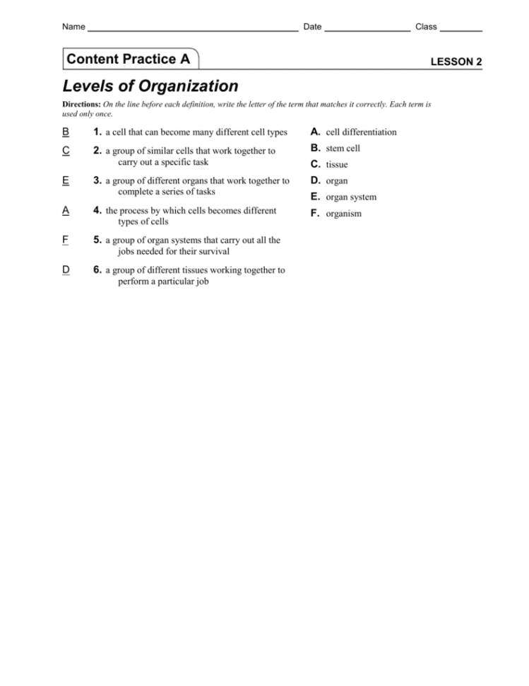 Levelsoforganizationcontentpracticeab With