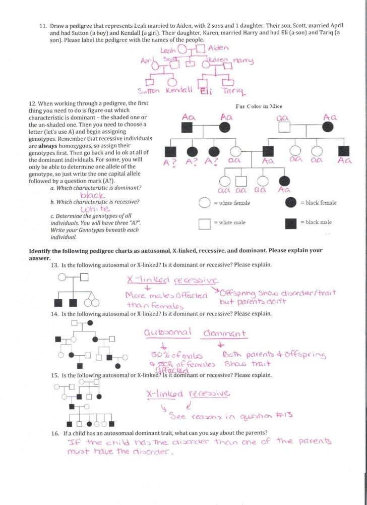 Lewis Dot Structure Worksheet Answers