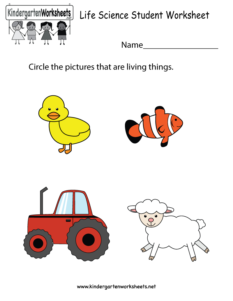 free printable science worksheets for kindergarten