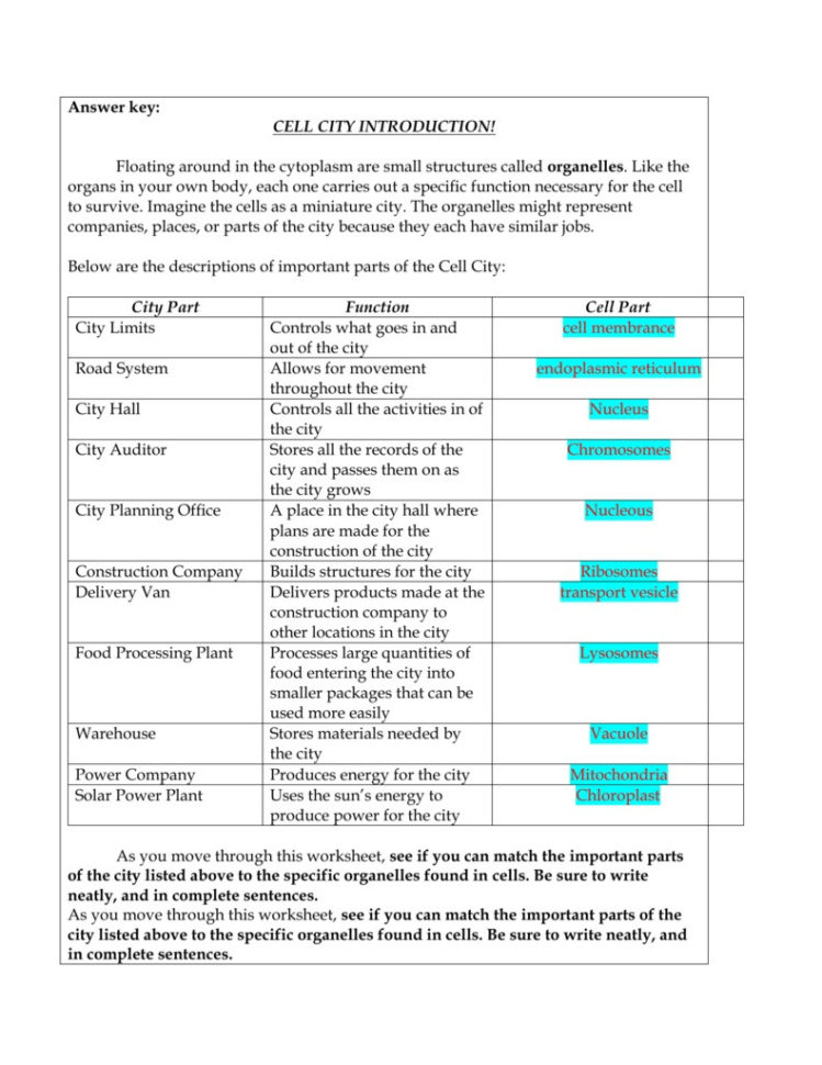 Looking Inside Cells Worksheet Answers Newest Analogy