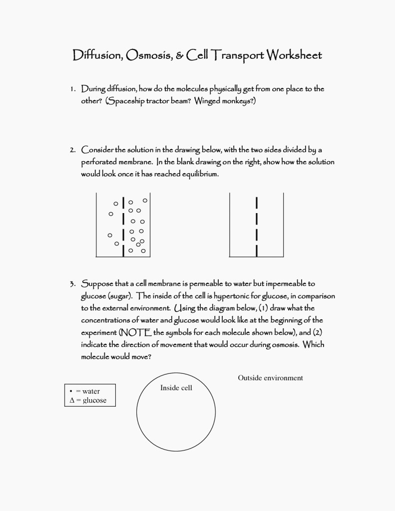 Looking Inside Cells Worksheet Answers Relevant Diffusion