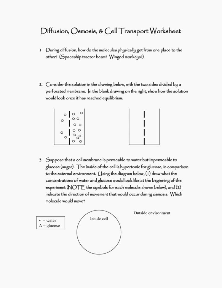 Looking Inside Cells Worksheet Answers Relevant Diffusion