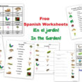 Los Números – Free Spanish Numbers Worksheets  Homeschool