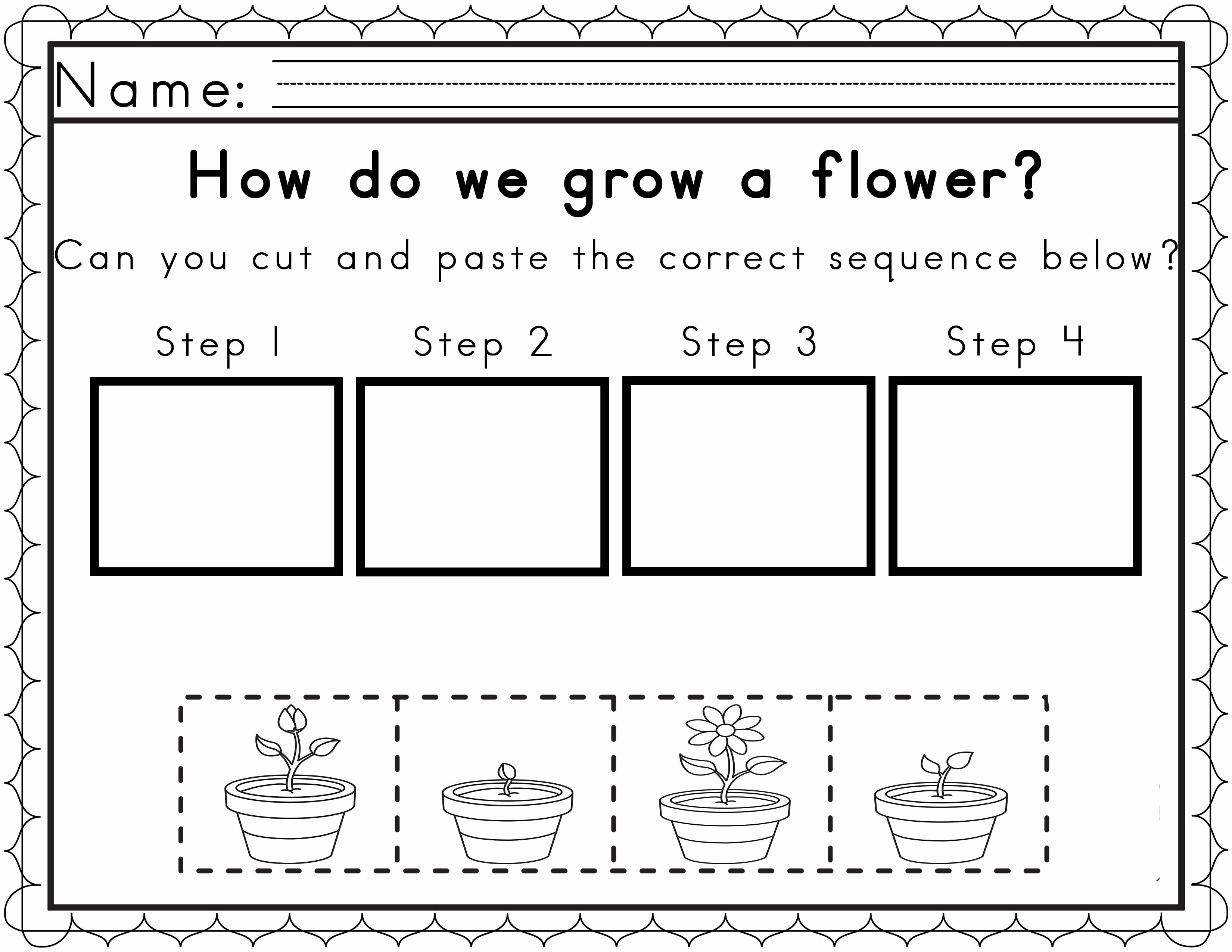 Plant Life Cycle For Kindergarten Worksheet — db-excel.com