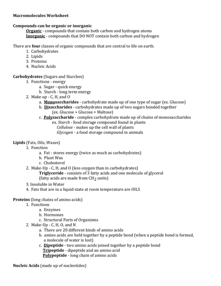 Macromolecule Study Guide  Worksheet
