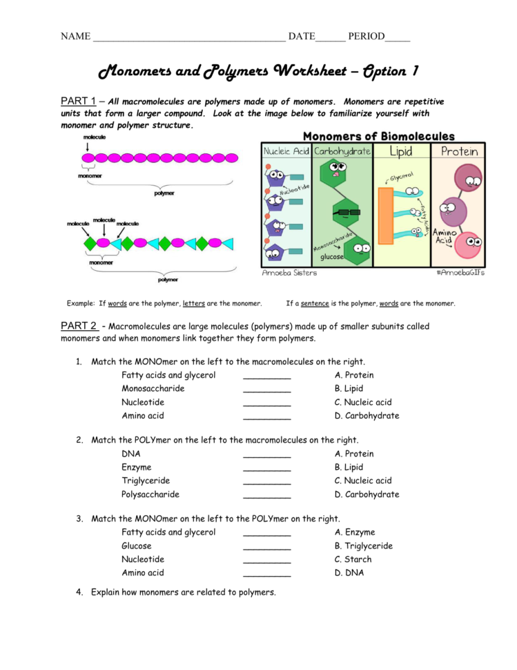 macromolecules close reading assignment quizlet