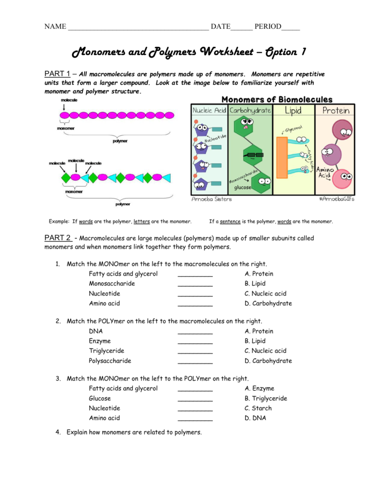 Macromolecule Worksheet