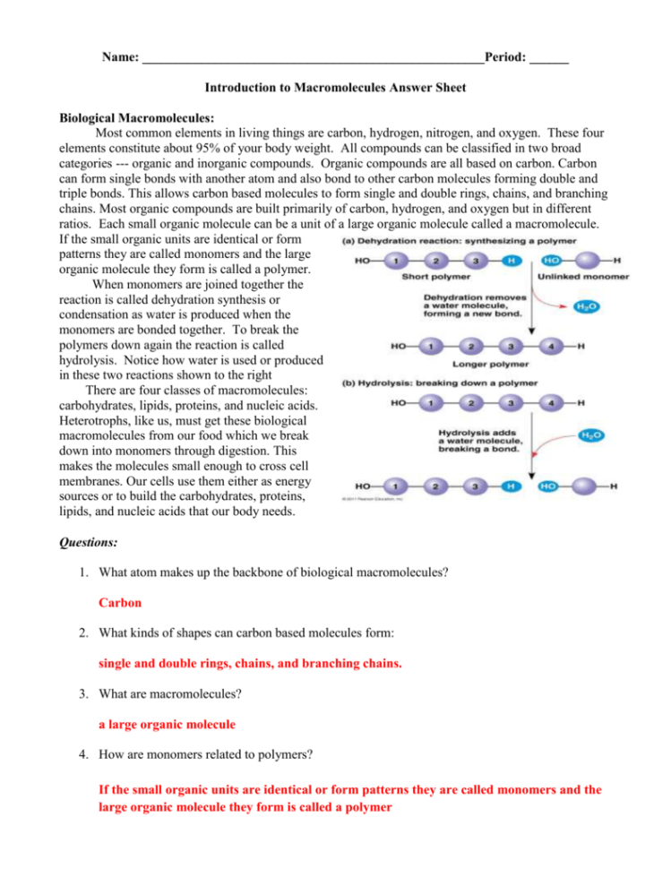 Macromolecule Worksheet Answer Keydoc