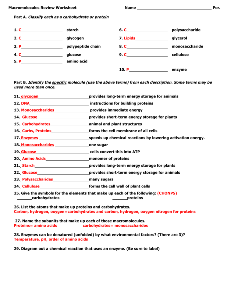 Macromolecules Worksheet Answer Key