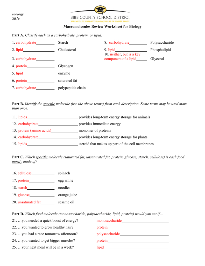Macromolecules Worksheet 2
