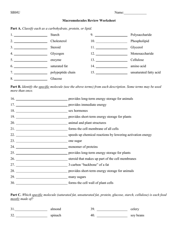Macromolecules Worksheet 2