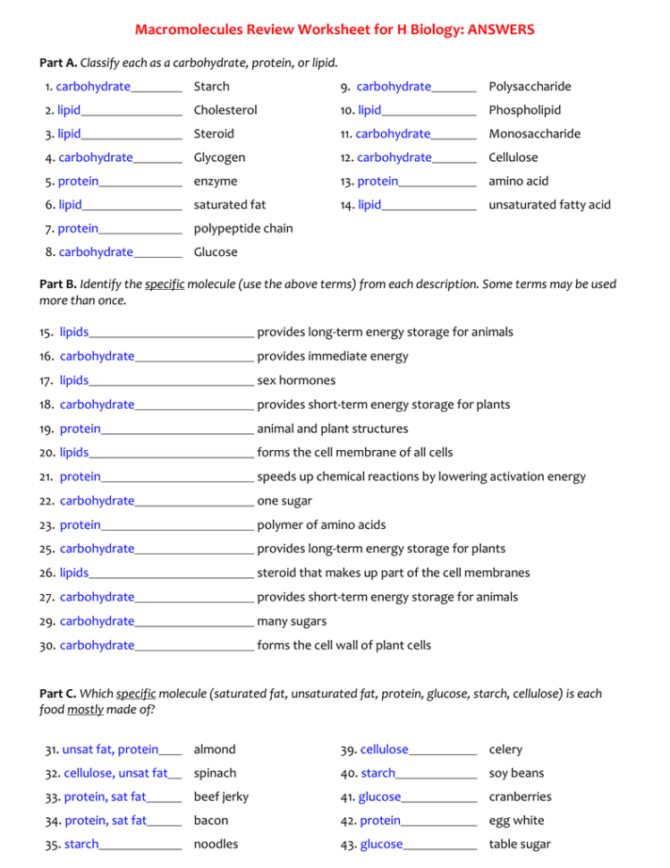Macromolecules Worksheet 2  Biyology