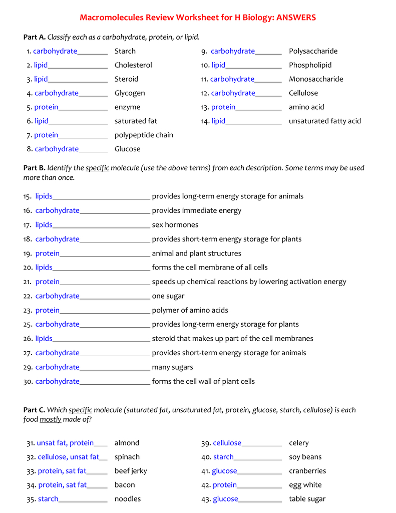 42-macromolecules-worksheet-answer-key-worksheet-information