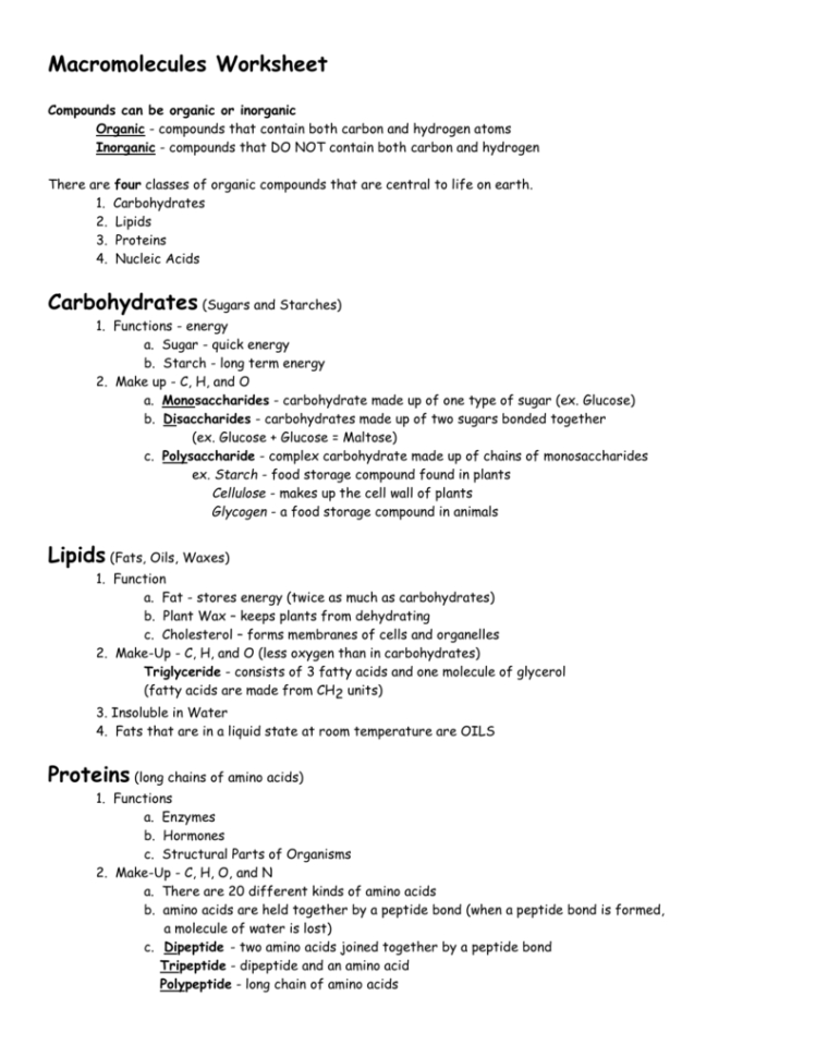 Macromolecules Worksheet