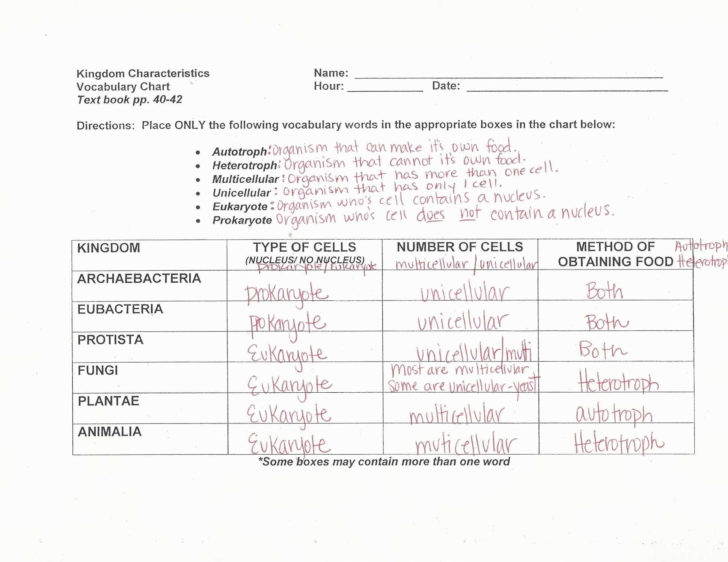 Macromolecules Worksheet Answers