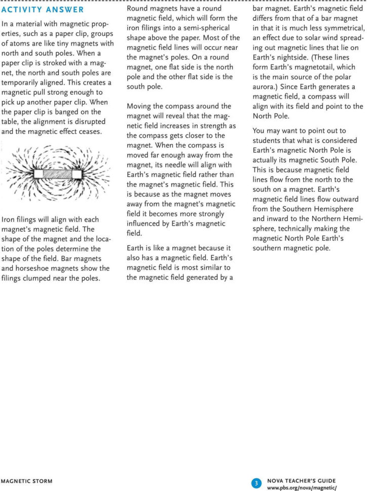 Magnetic Storm Program Overview  Pdf