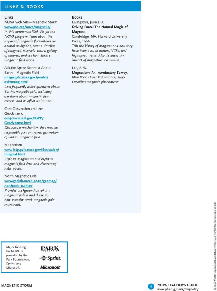 Magnetic Storm Program Overview Pdf — db-excel.com