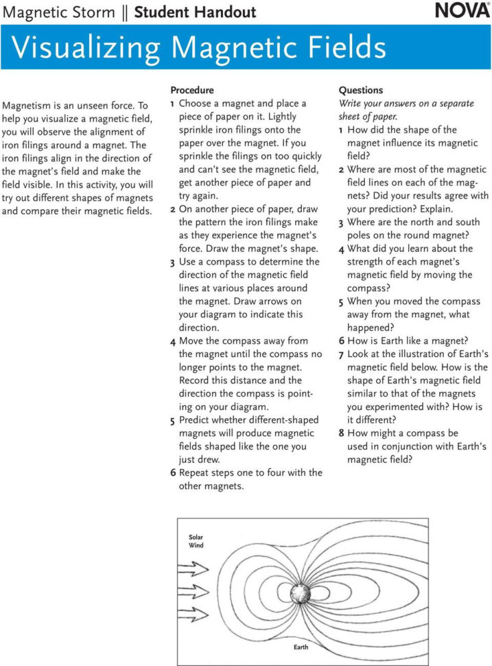 Magnetic Storm Program Overview  Pdf