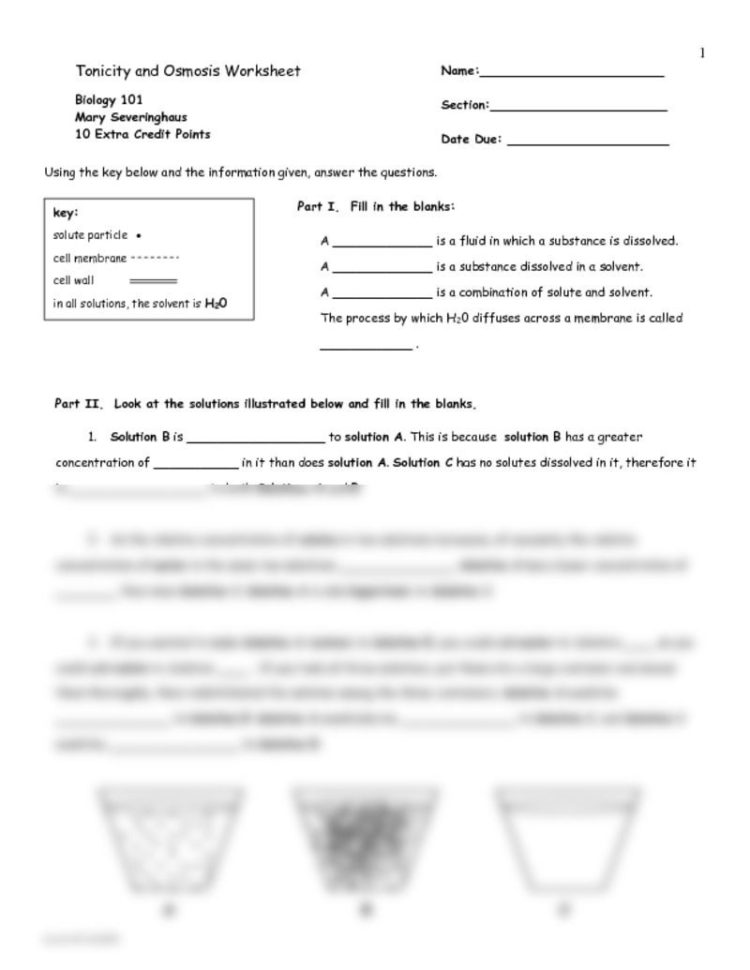 Markup And Markdown Worksheet Answers