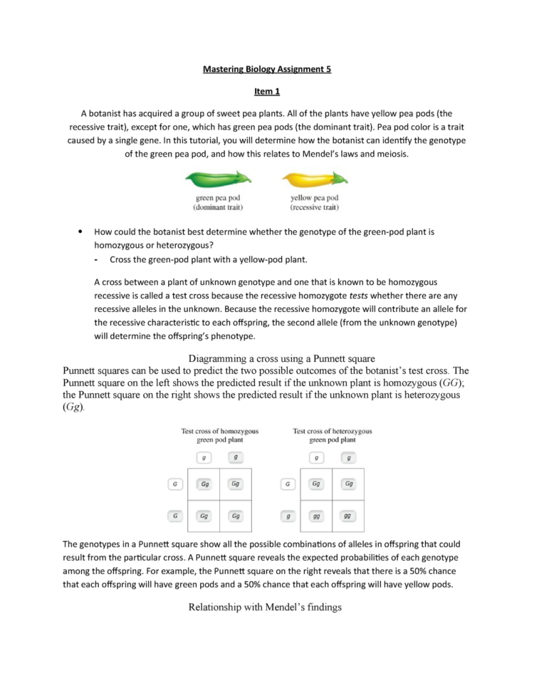 Mastering Biology Assignment 5 Genetics Chapter  Abio 121  Studocu
