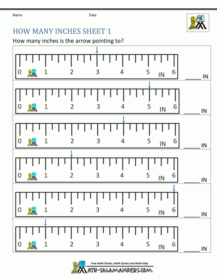 Reading A Ruler Worksheet — db-excel.com