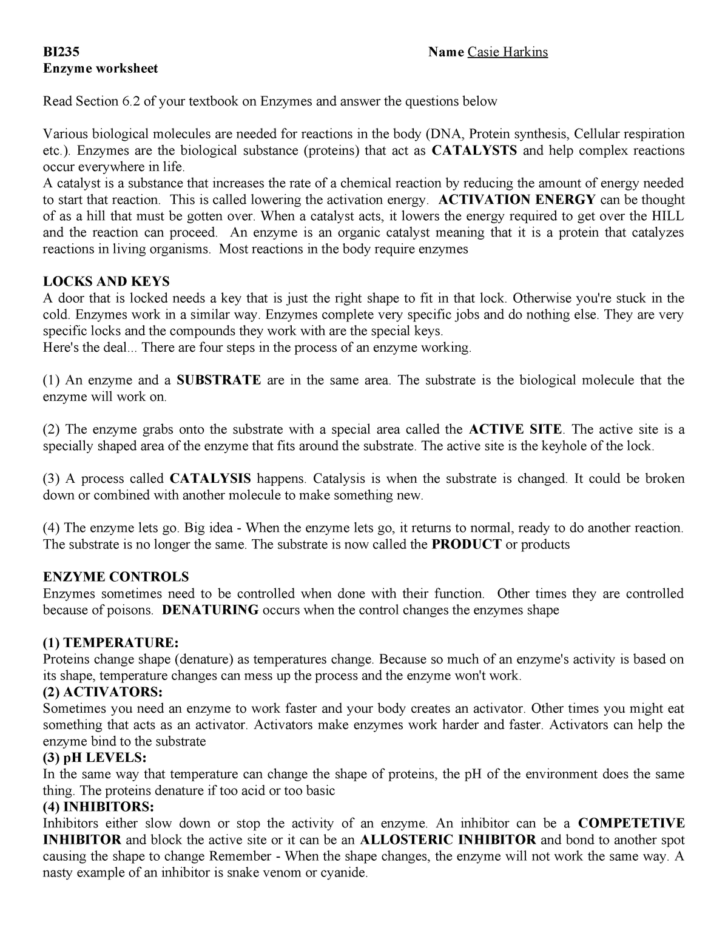 Enzyme Reactions Worksheet