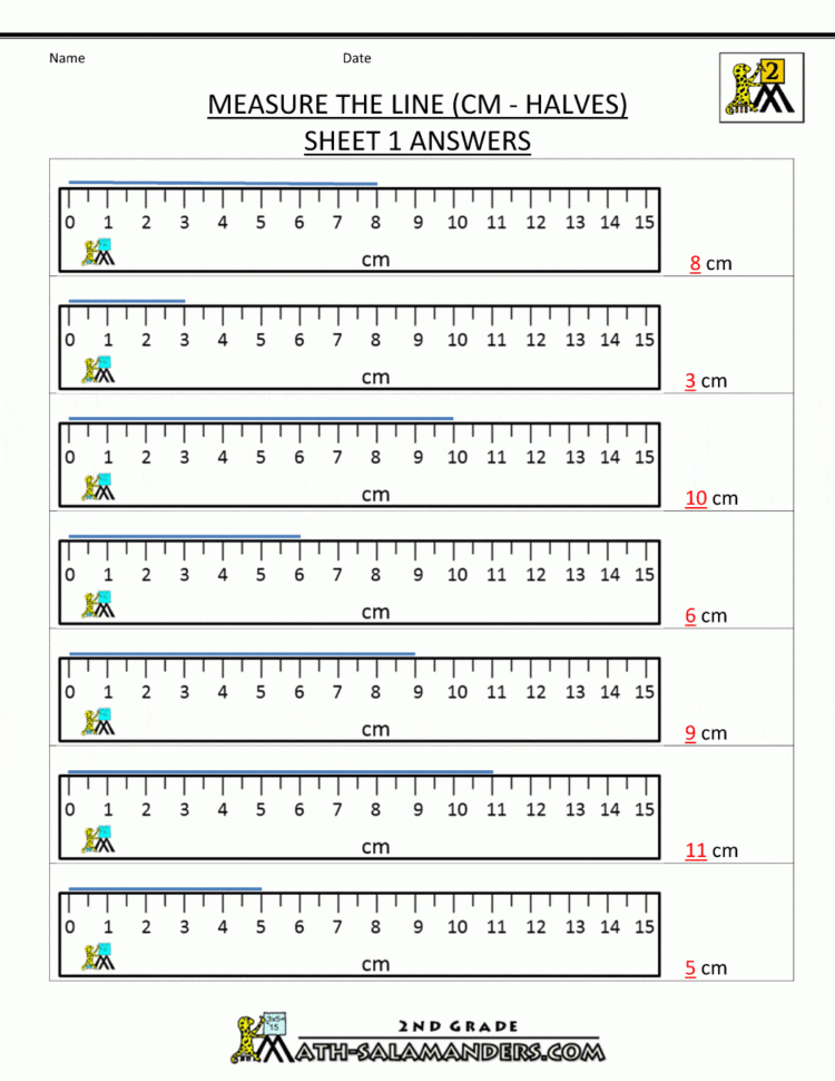 Measurement Math Worksheets  Measuring Length
