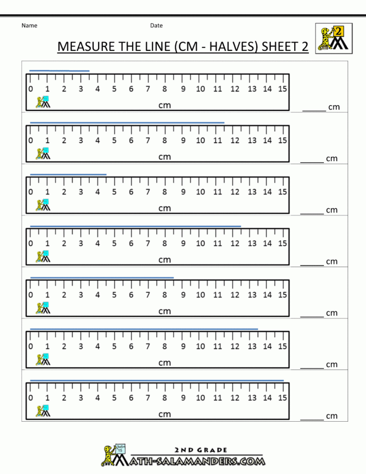 Measurement Math Worksheets  Measuring Length