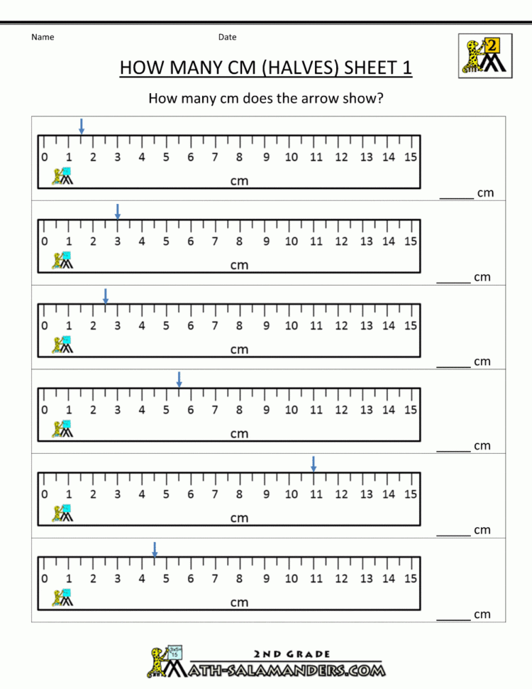 Measurement Math Worksheets  Measuring Length