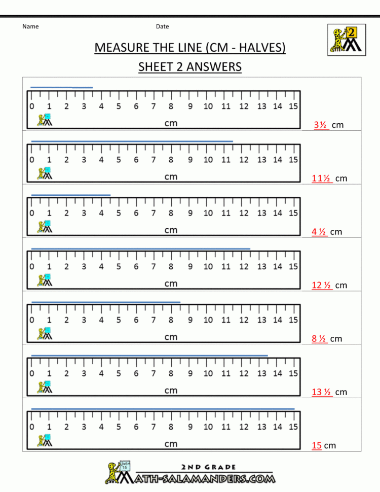 Measurement Math Worksheets  Measuring Length