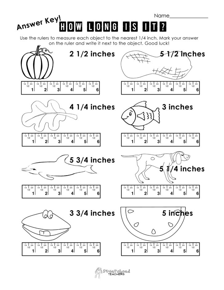 Blank Tape Measure Worksheet