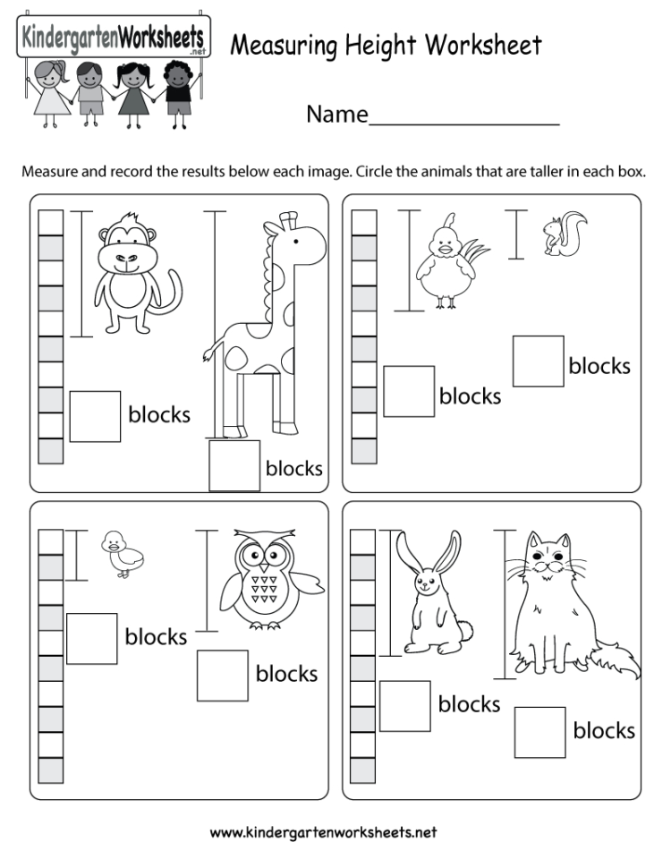 Measuring Height Worksheet  Free Kindergarten Math