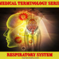 Medical Terminology Of The Respiratory System  Nursecepts