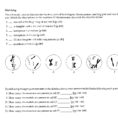 Meiosis Matching Worksheet 16 Best Of Meiosis Practice
