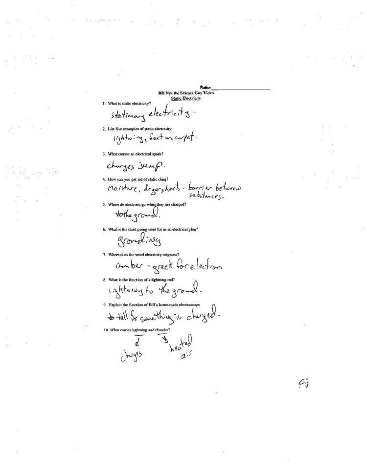 Meiosis Vocabulary Worksheets