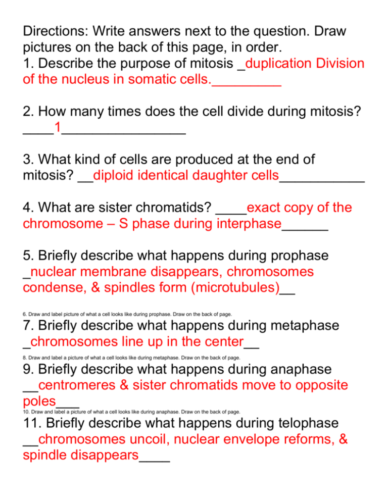 Meiosis Vs Mitosis Worksheet Key — db-excel.com