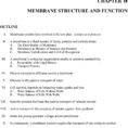 Membrane Structure And Function  Pdf
