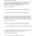 Mendelian Genetics Review Worksheet Pages 1  4  Text
