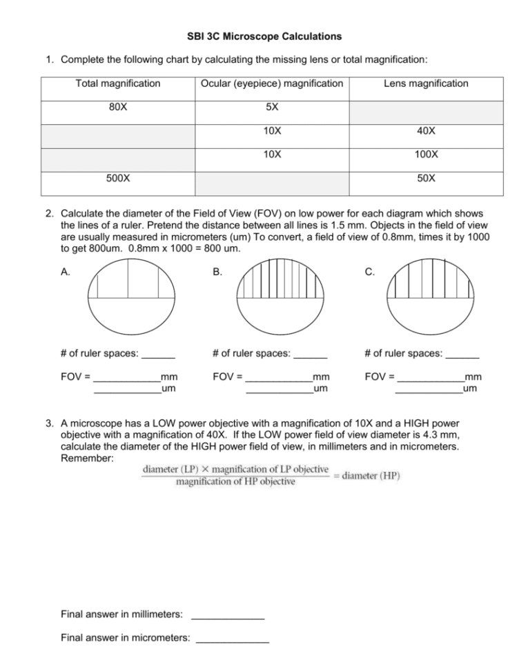 Microscope Calculations Worksheet
