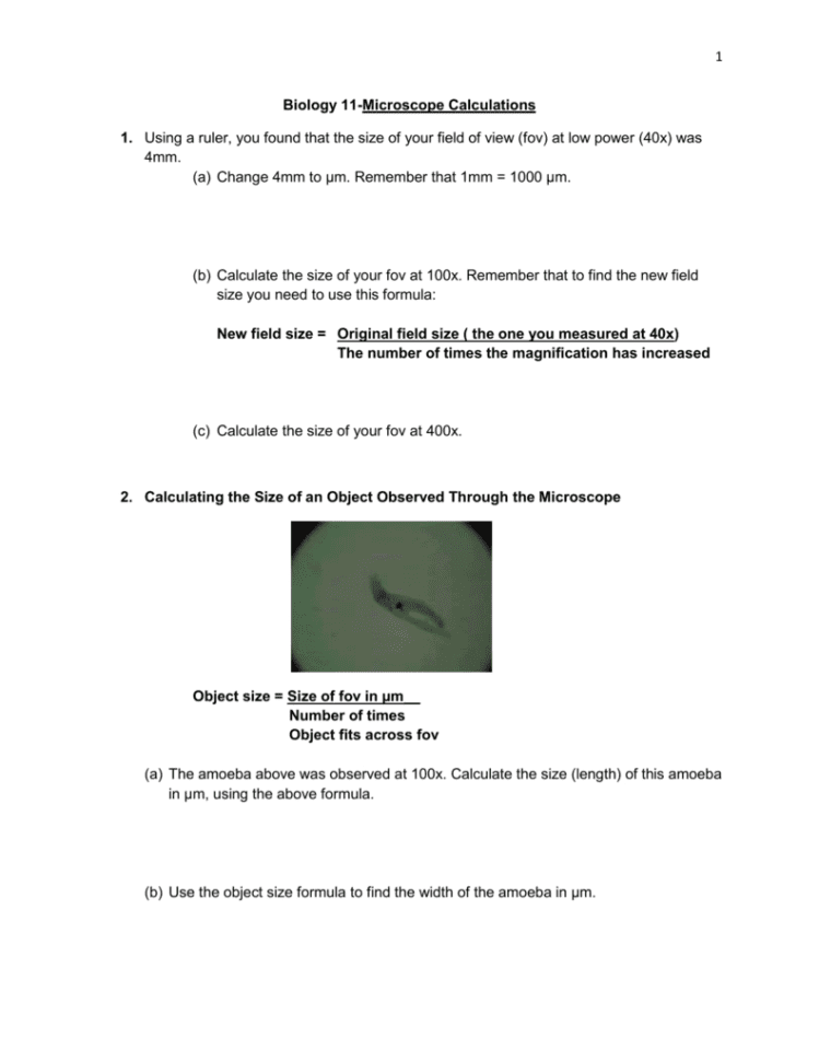 Microscope Calculations Worksheet