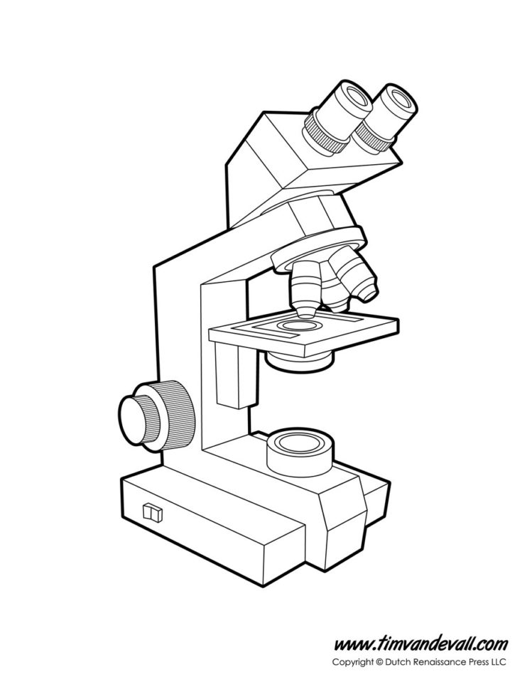 Microscope Diagram Labeled Unlabeled And Blank  Parts Of A