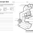 Microscope Diagram Labeled Unlabeled And Blank  Parts Of A