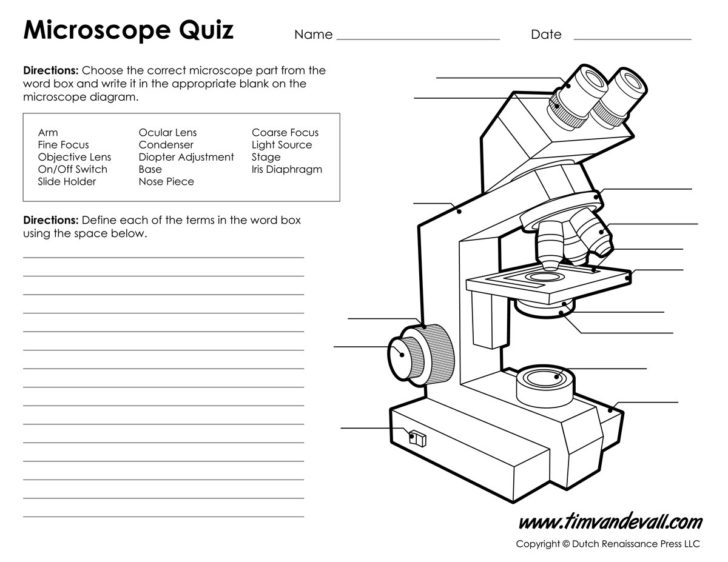 Microscope Measurement Worksheet
