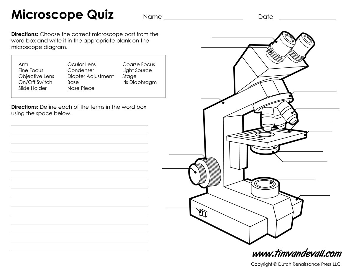 Microscope Diagram Labeled Unlabeled And Blank  Parts Of A Microscope