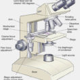 Microscope Drawing At Paintingvalley  Explore Collection Of