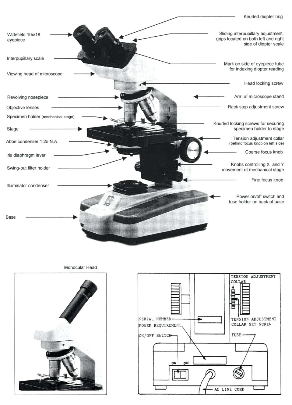 Microscope Drawing Worksheet At Paintingvalley  Explore