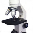 Microscope Labeling Worksheet