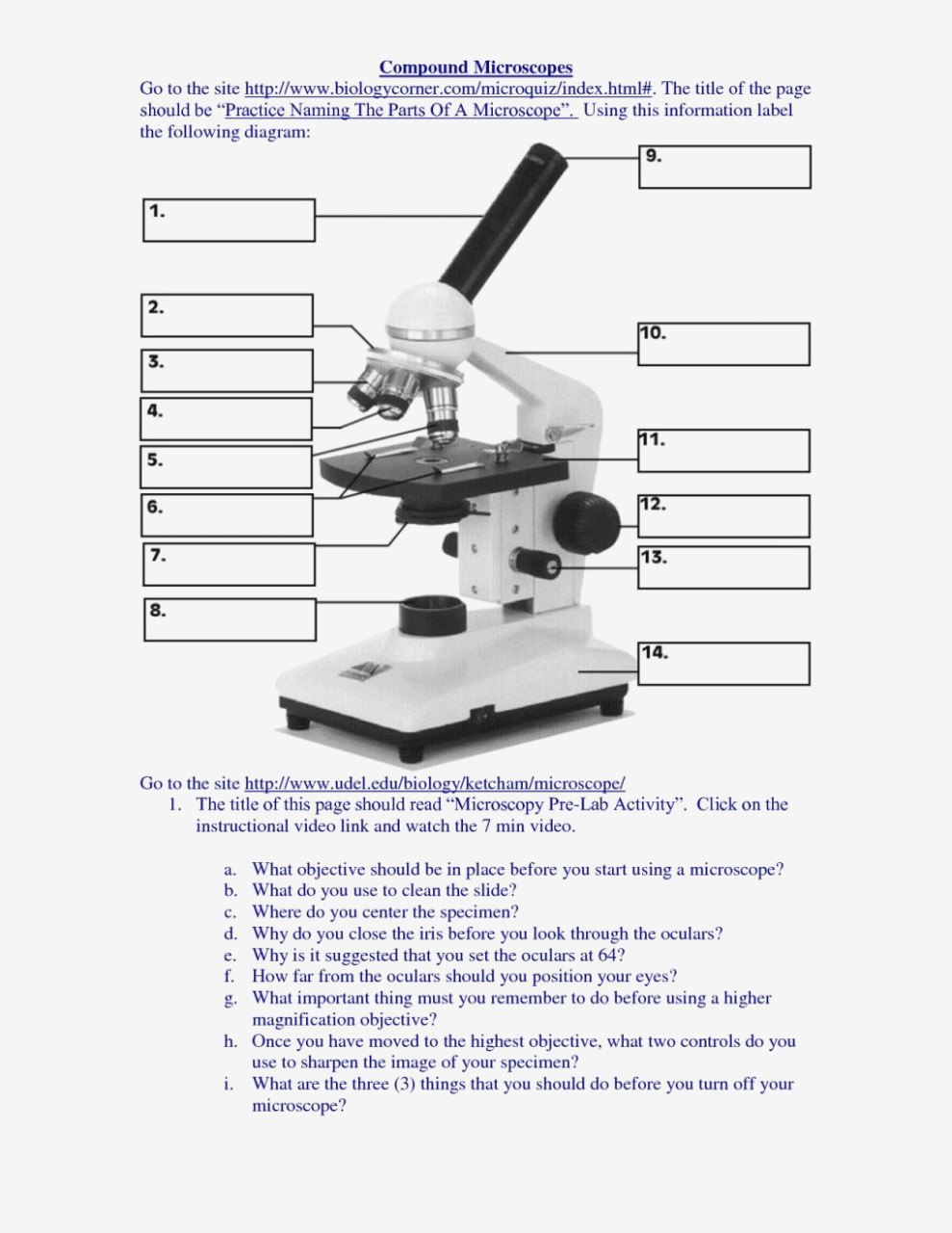 Microscope Labeling Worksheet Answers – Microscope Labeling