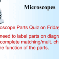 Microscope Parts And Function