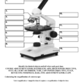 Microscope Parts And Functions